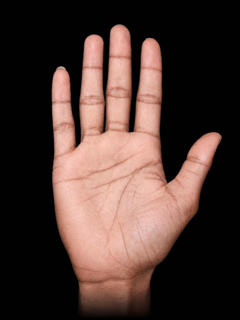 PalmPass real palm biometric identity verification